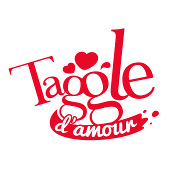 Vente jeu de société Concarneau - Taggle d'amour